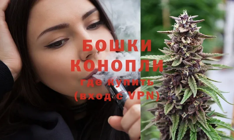 Бошки Шишки THC 21%  как найти   Москва 